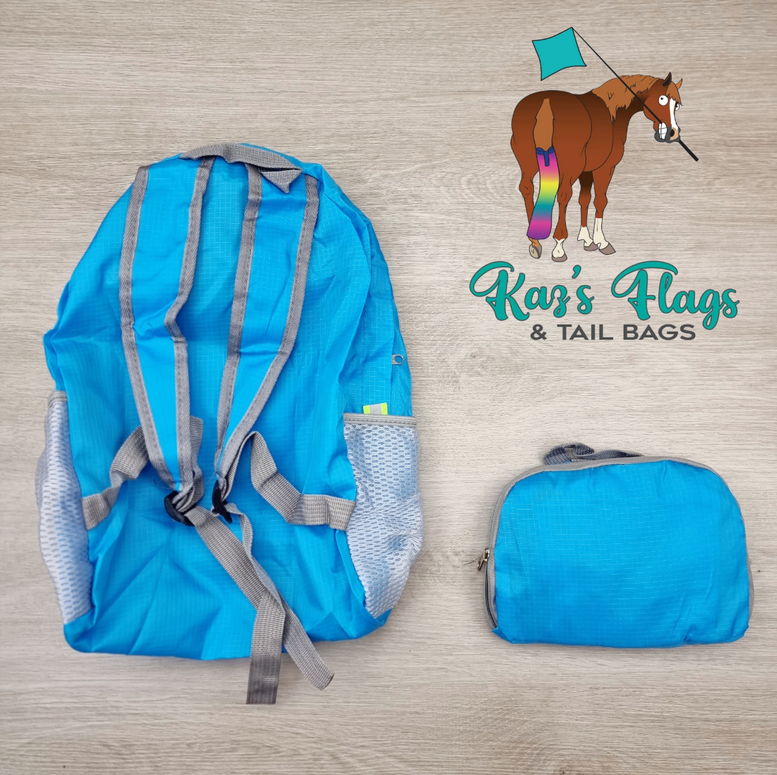 Blue backpack carry bag