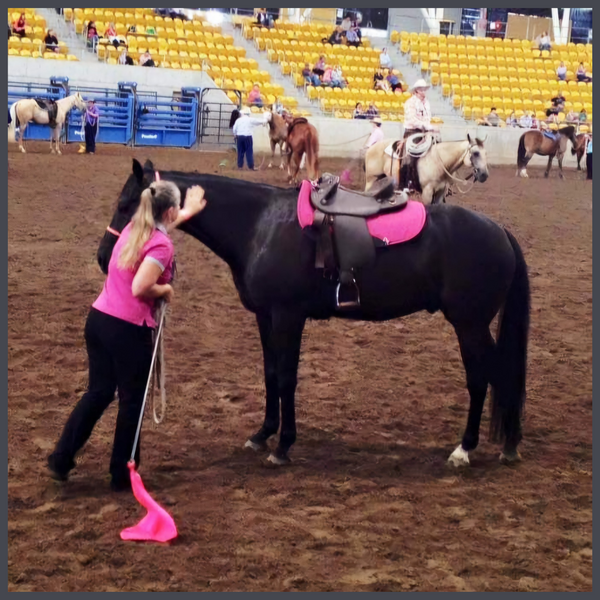 Horsemanship flag at a Buck Branaman clinic