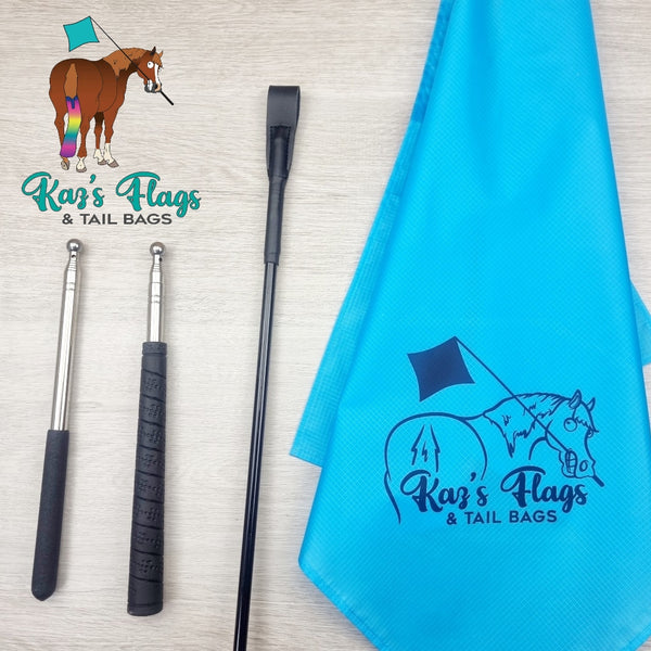 Horsemanship Training flags and styles of poles