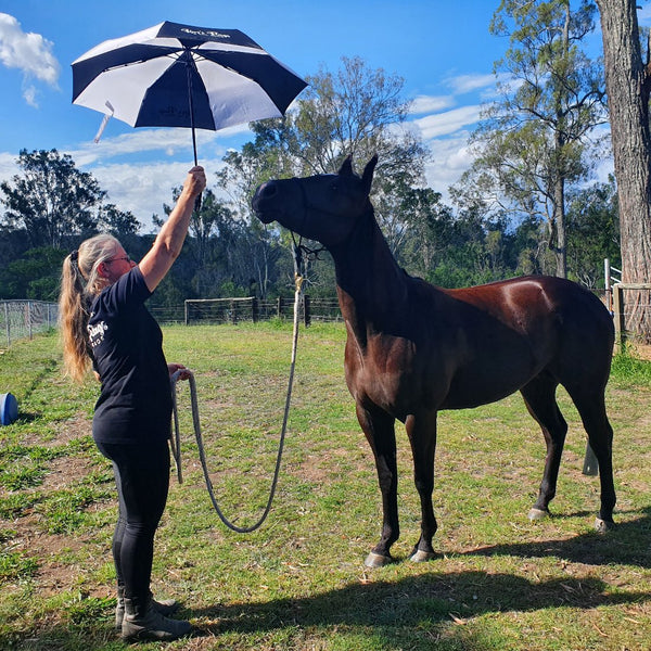 Training horses Kaz's Flags umbrella for training horses to sudden movements lady showing umbrella to horse which is reaching up to investigate