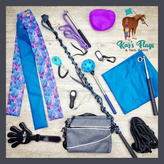 All Horsemanship Training Equipment