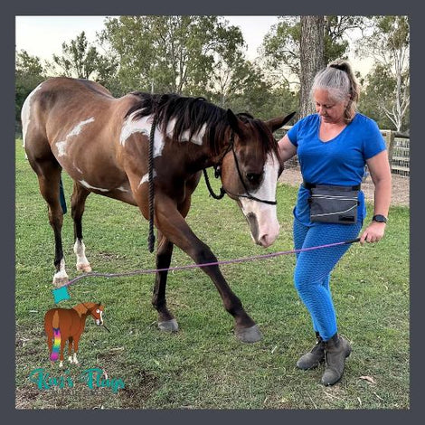 Horse Training Aids