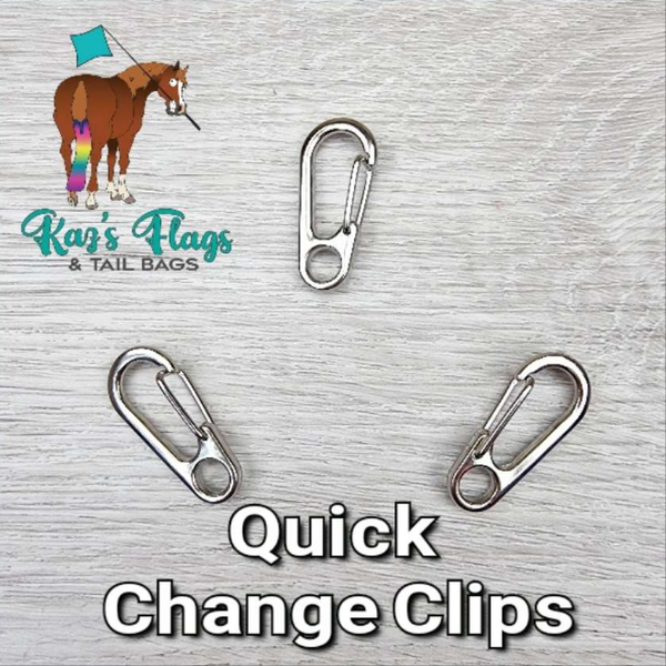 Clip to put training flags and tools onto horse poles