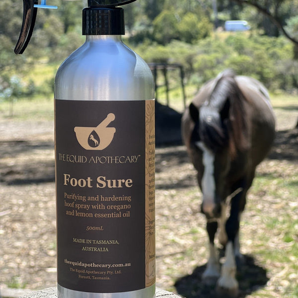 Foot Sure Hoof Spray by The Equid Apothecary sold by Kaz's Flags and Tail Bags