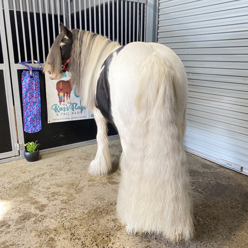 Horse and tail bag with Funky Feathers pattern