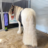 Horse and tail bag with Funky Feathers pattern