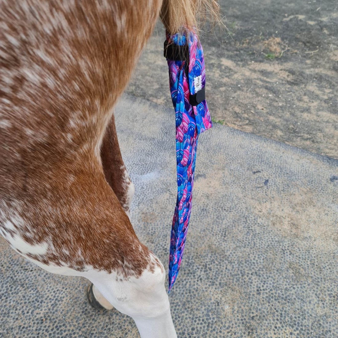side view of horse wearing tail bag