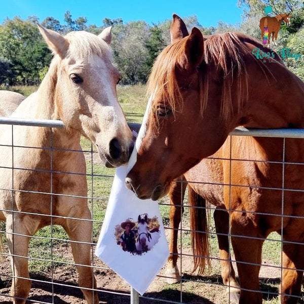 Horses looking at a custom Photo Flag gift