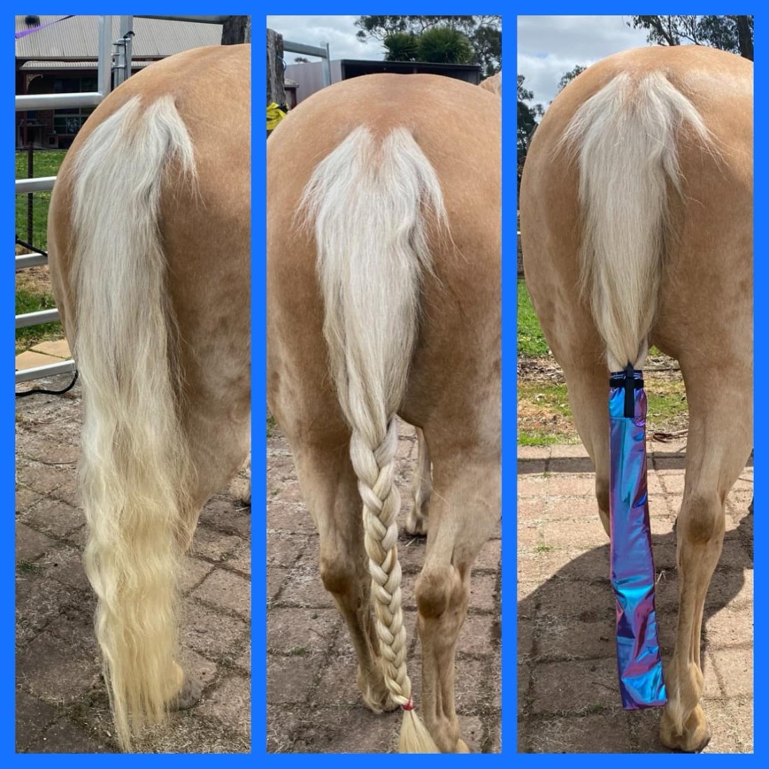 Horse Tail showing how Holographic Tail Bag goes on