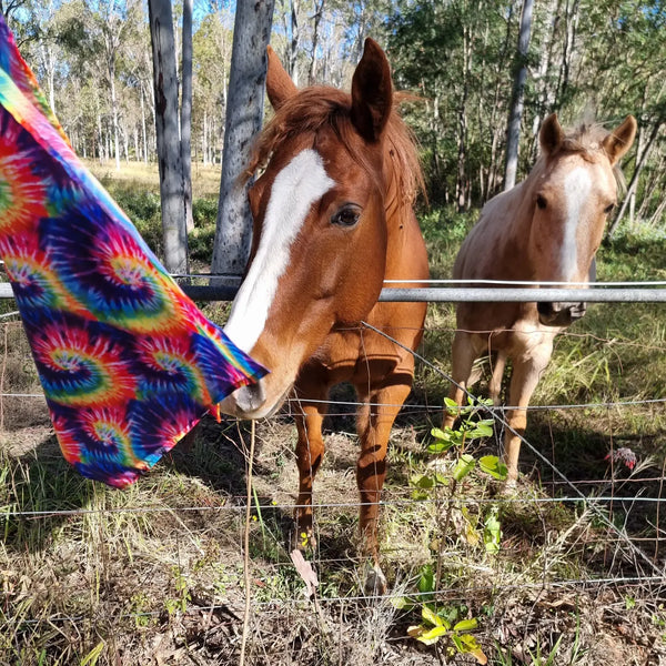 Horses with flag