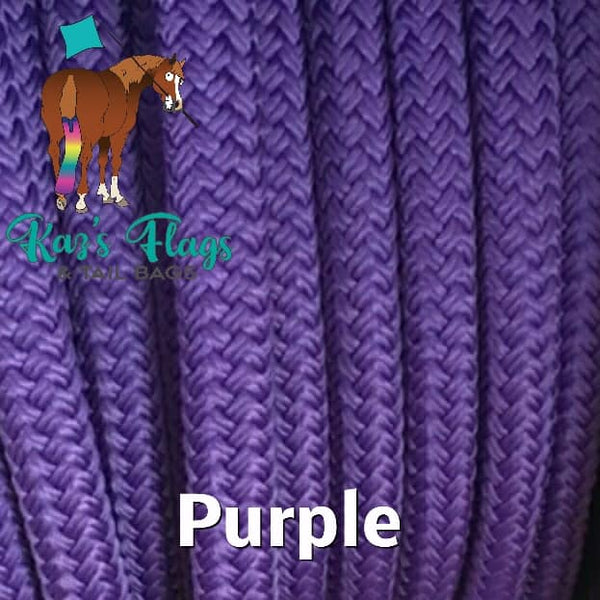 Purple horse training string