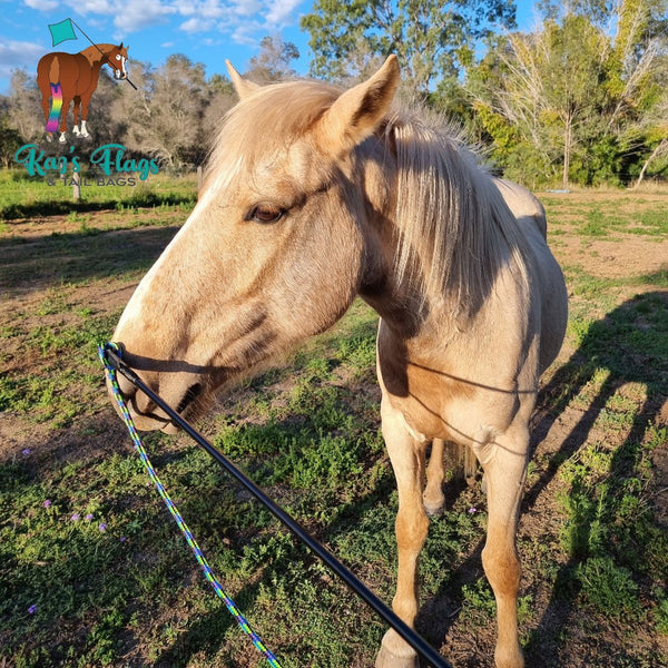 Blue String Training Natural Horsemanship 5' Training String - Kaz's Flags and Tail Bags