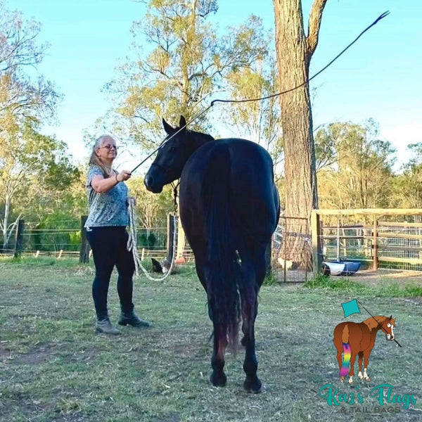 Kaz's Flags and Tail Bags Horsemanship Strings with horse and rider