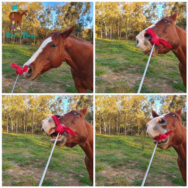 Kaz's Flags horse with soft flag target