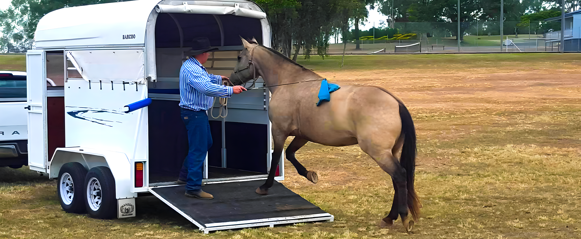  Horse trainer working a horse with a Kaz's Flag and Training stick to float load a horse