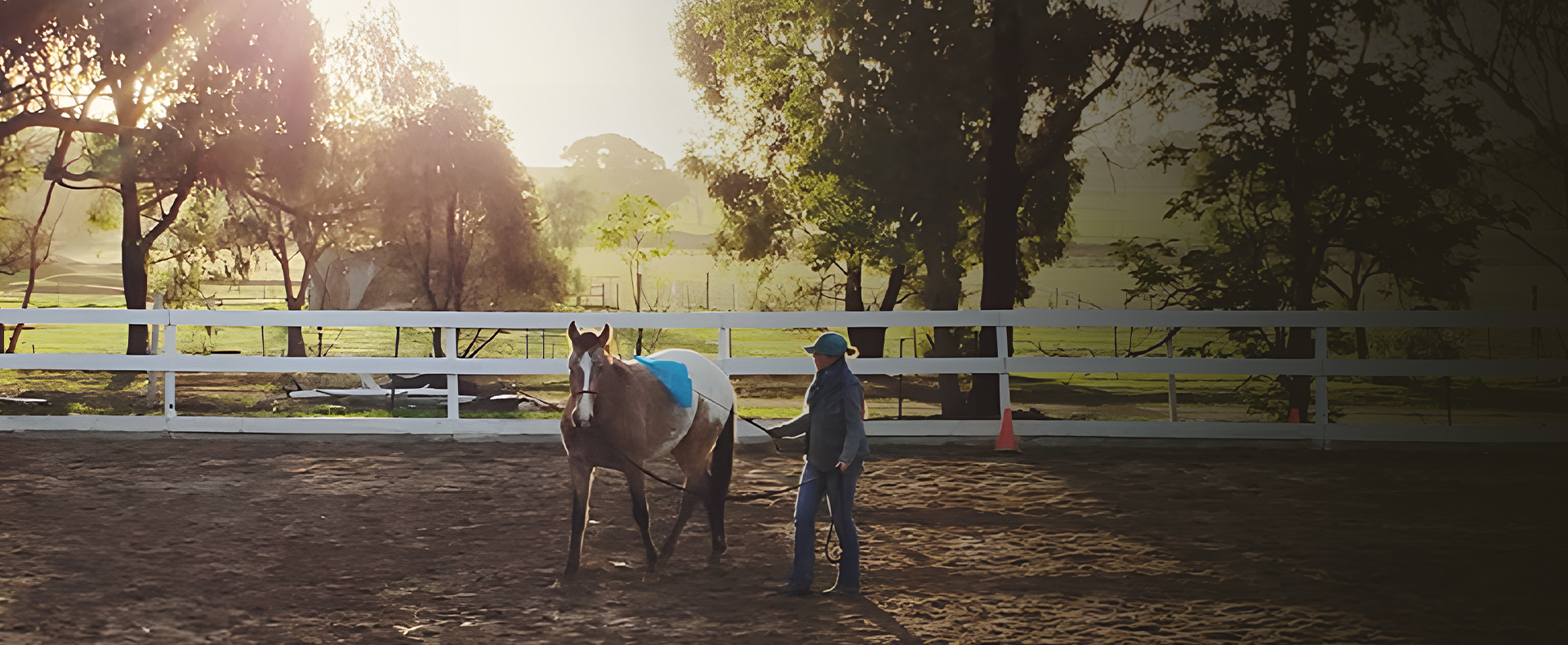 Horse trainer working a horse with a Kaz's Flag and Training stick