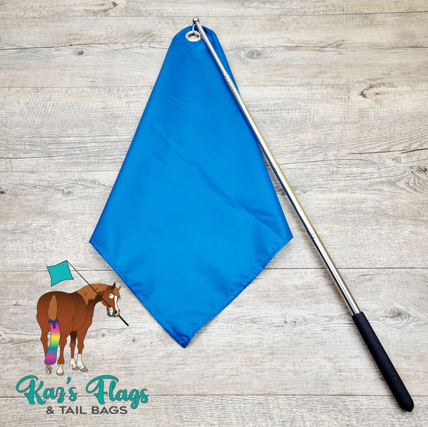 Horse training flag and retractable stick