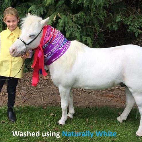 Naturally white soap washed pony