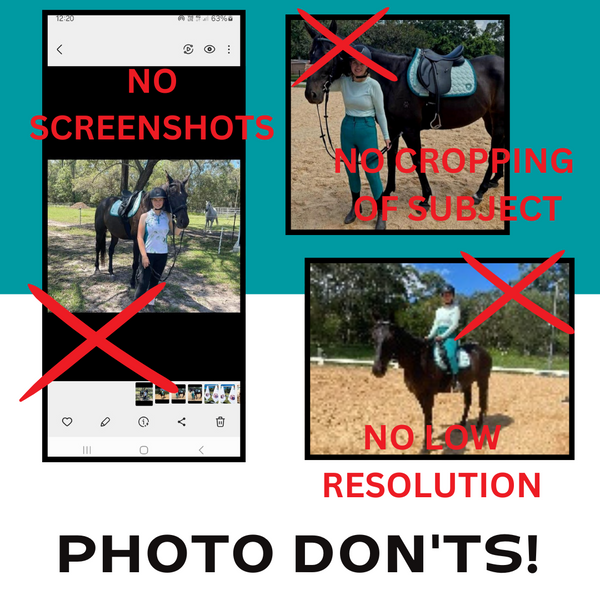 The don'ts of sending files for custom Photo flags