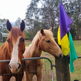 horses with horsemanship flags in yellow, purple and sea green.