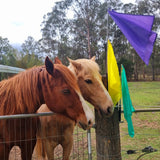 horses with horsemanship flags in yellow, purple and sea green.