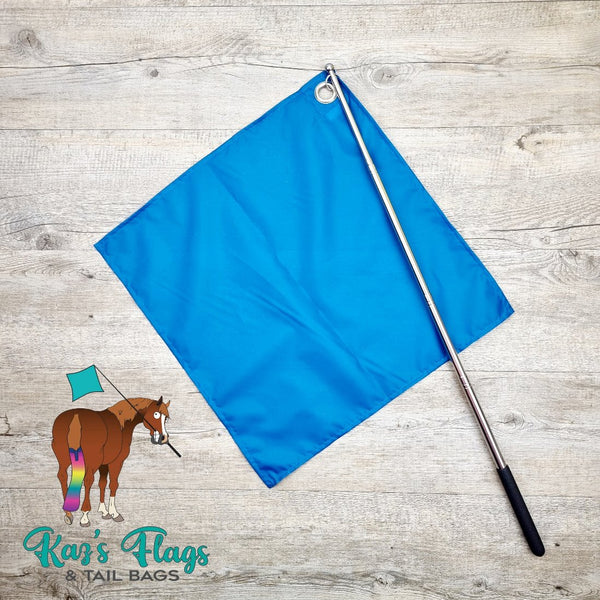 Horsemanship training flag