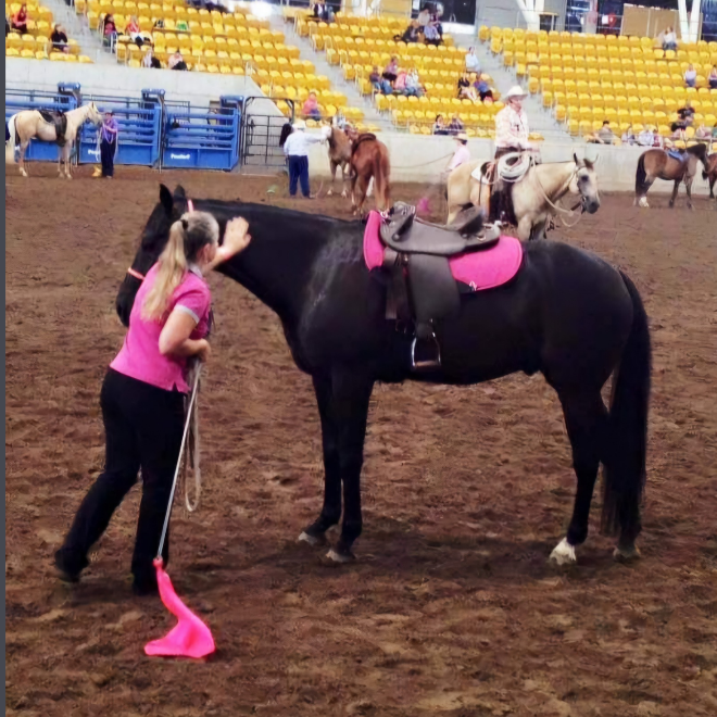 Buck Brannaman horse clinic