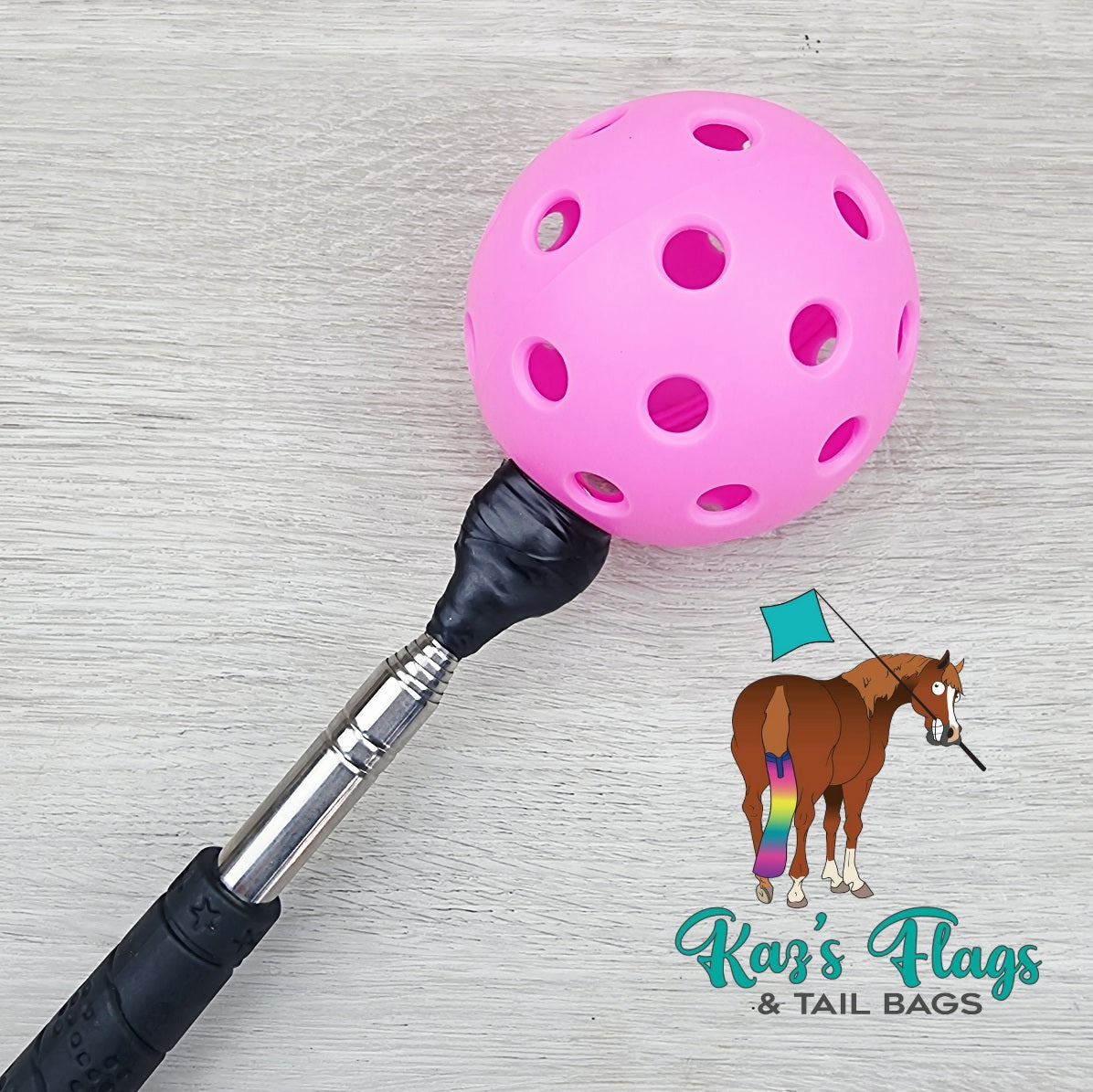 Horsemanship Target Touch & Pocket Pole Combo