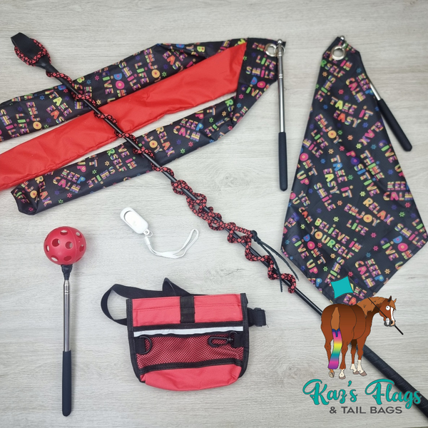 Horsemanship Discounted Kit 05 - 25% OFF!