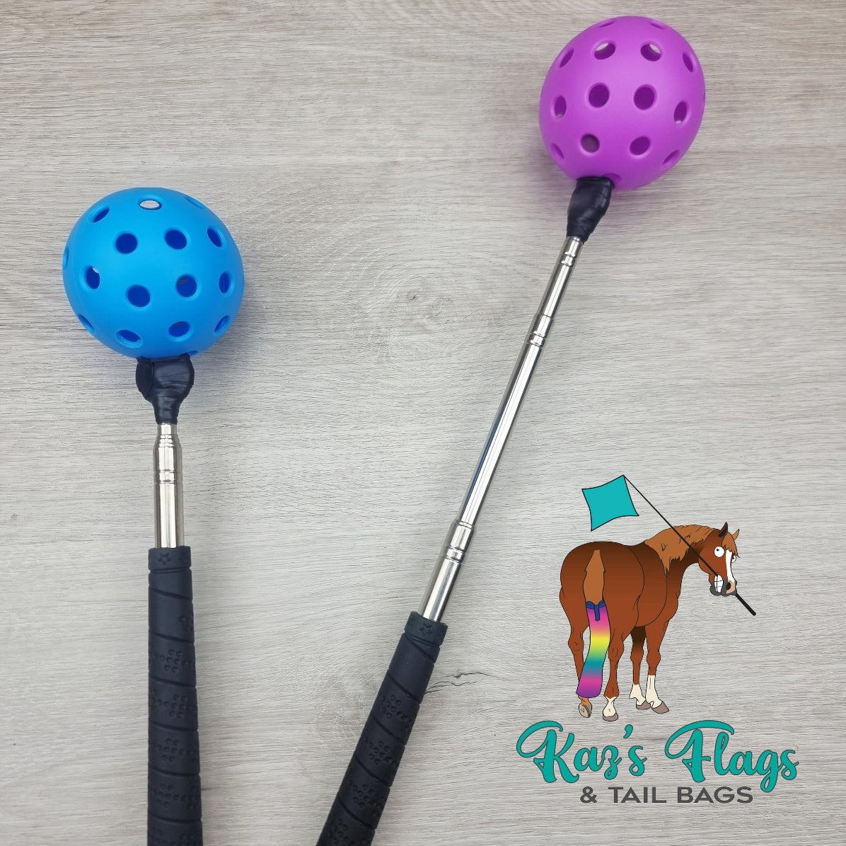 Horsemanship Target Touch & Pocket Pole Combo