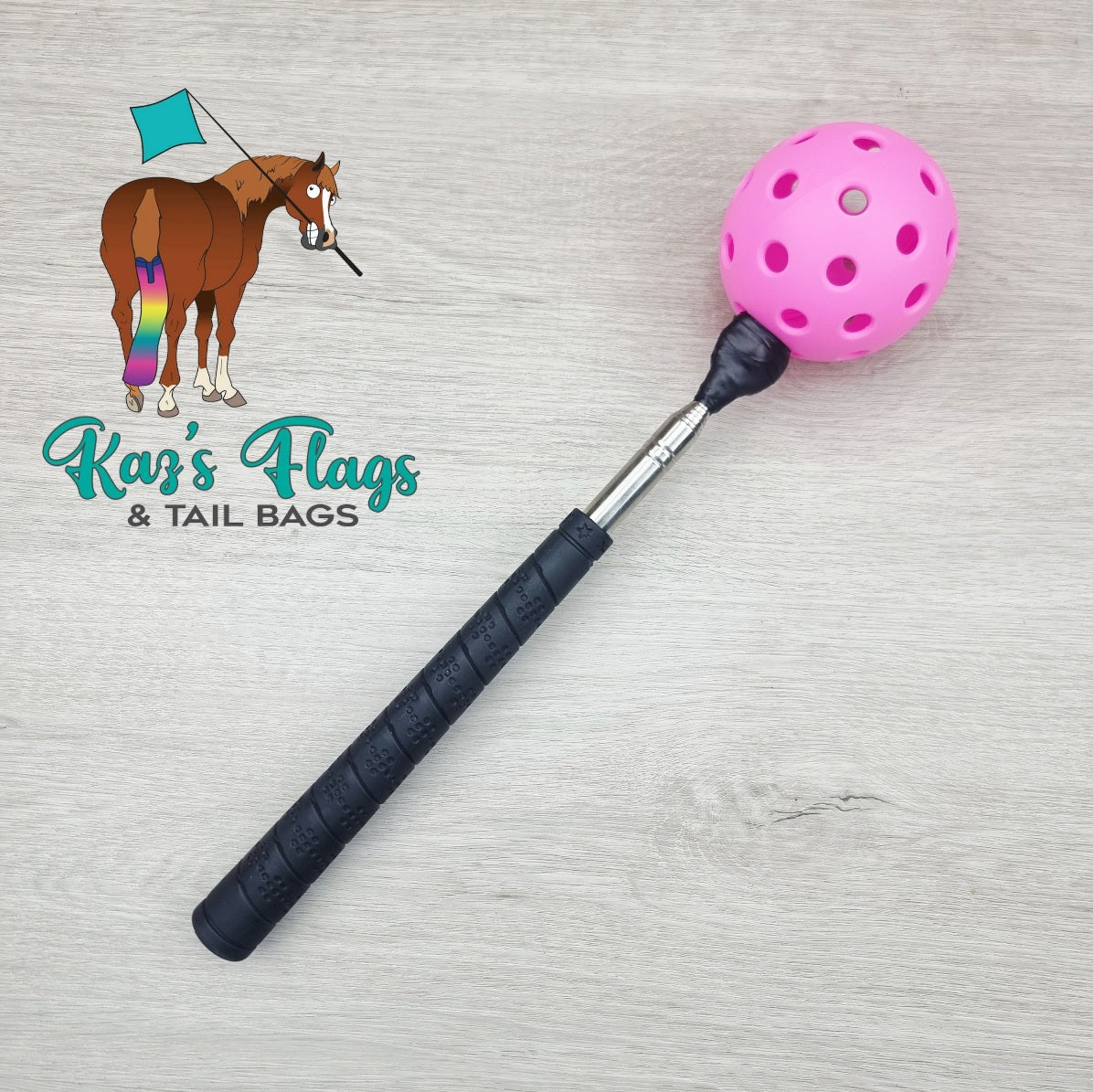 Horsemanship Target Touch & Pocket Pole Combo