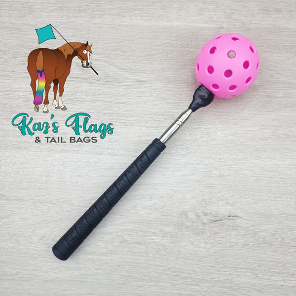 Horsemanship Target Touch & Pocket Pole Combo