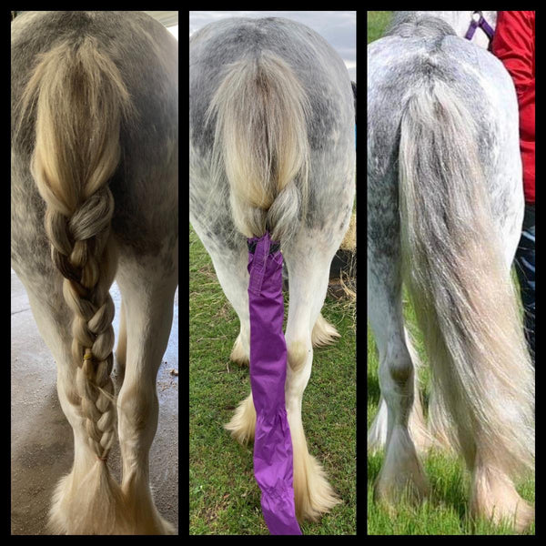 Tail Bags and plaited tails