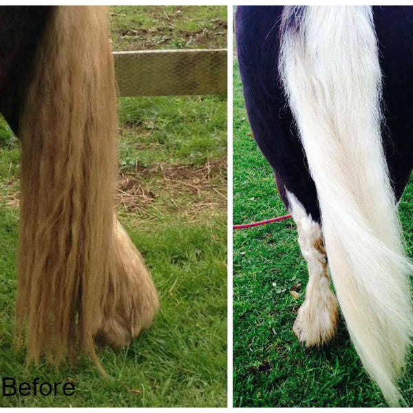 Before and After using bee kind soap n horse tail