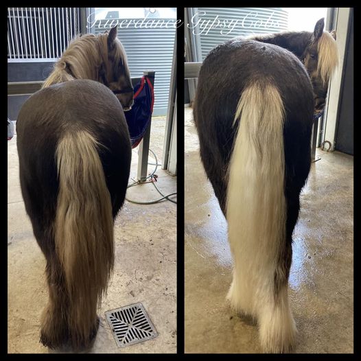 before and after wash of tail