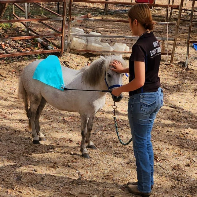 pony with trainer