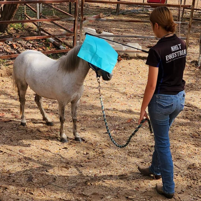 Horse Training with flag