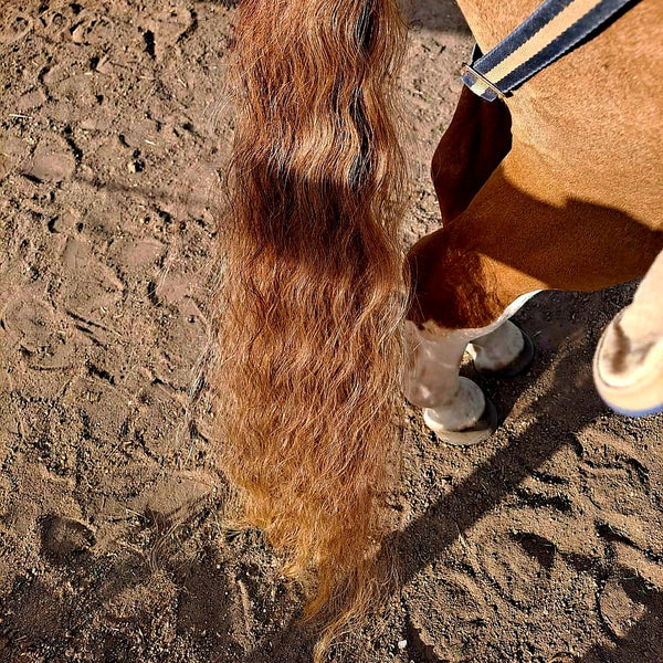 thicker horse tail