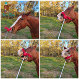 Horsemanship flag Horse touching soft flag target