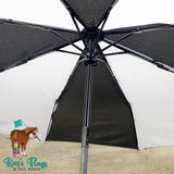 Auto open umbrella