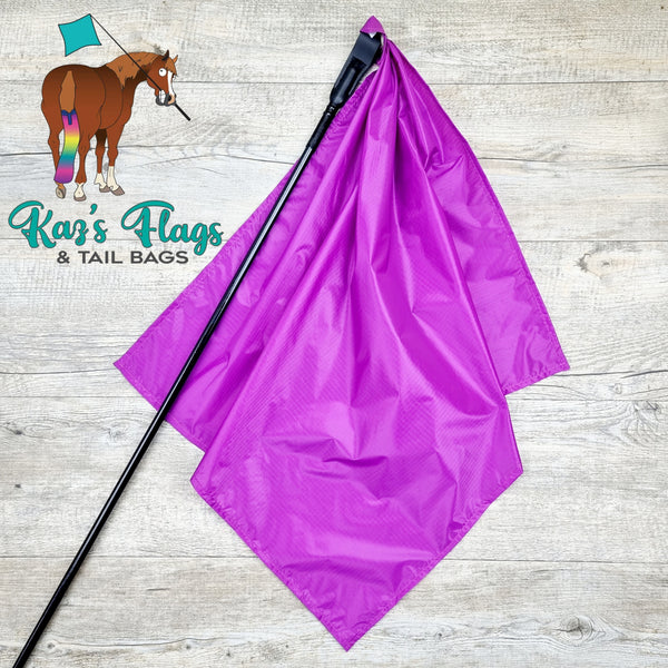 Flag and training stick for horses