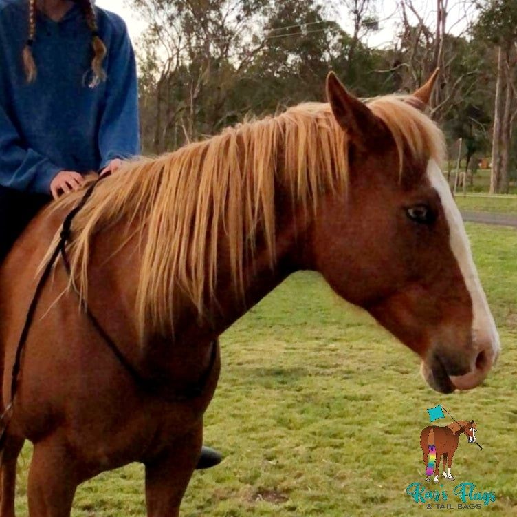 Horse rope neck