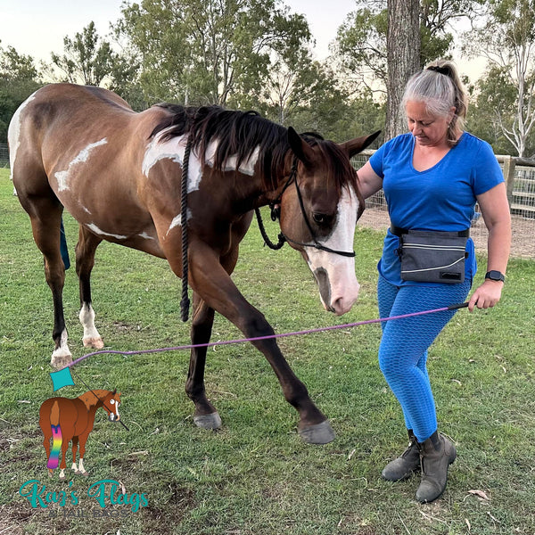 Horse and girl training horse