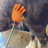 Reach n Teach being used on a horse