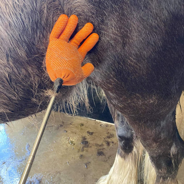 Reach n Teach being used on a horse