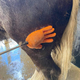 Reach and Teach Horse Training Tool Kaz's Flags