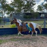 horse running with saddle flag on