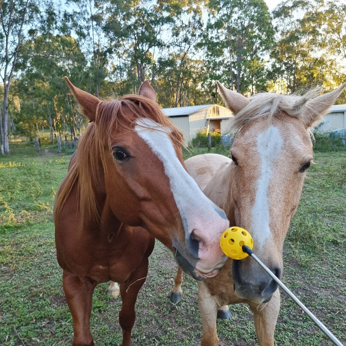 Target touch training