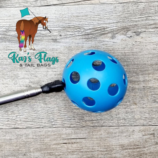 Target touch training blue targe