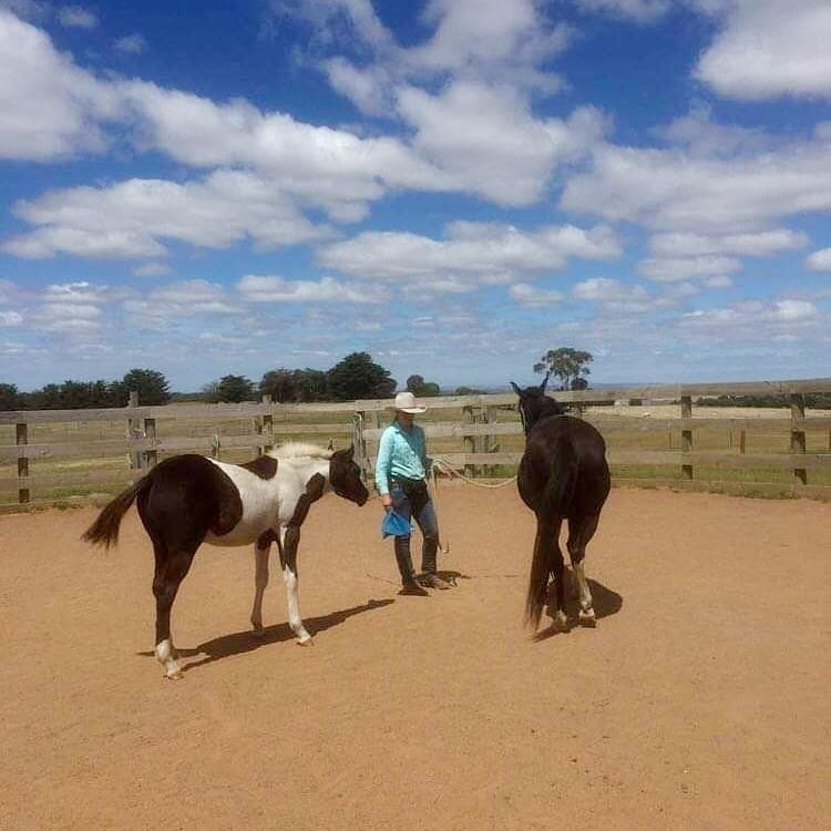 Groundwork with two horses